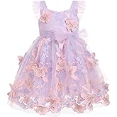 Toddler Baby Girl Butterfly Dress Princess Embroidered Flutter Sleeve Pageant Wedding Birthday Tulle Tutu Dress