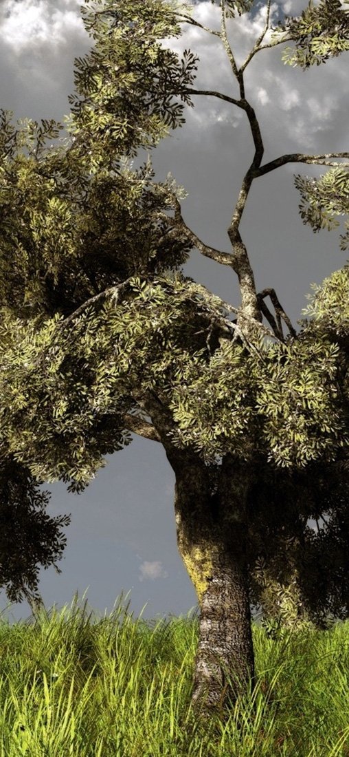 PeelitStickit, Beautiful Nature Wall Murals, ID-3331, vinyl