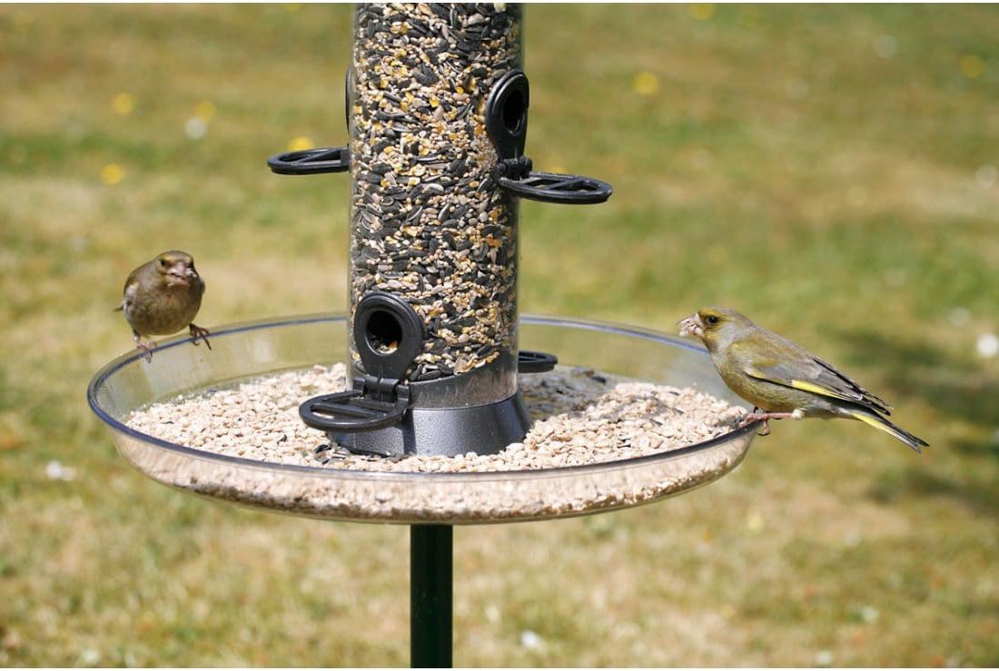 C J Wildlife Feeder Tray Large Amazon Co Uk Pet Supplies