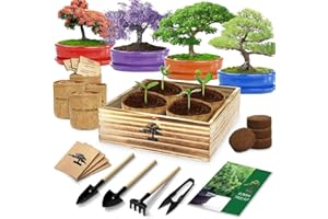 ENDBUG Bonsai Tree Kit, Bonsai Starter Kit with 4 Types of Seeds, Tools & Planters, Bonsai Tree Live Plants Indoor, Gardening Gifts for Women Men Mom Father Plant Lover, Unique