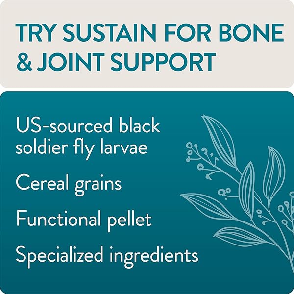 FLOCKLEADER SUSTAIN, FUNCTIONAL POULTRY TREATS FOR BONE AND JOINT SUPPORT, 1.5 LB