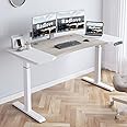 Radlove Dual Motor Height Adjustable Standing Desk, 63 x 30 Height Adjustable Computer Desk Sit Stand Desk Home Office Desks with Splice Board 265 lb Load Capacity White Frame + White Top