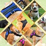 Musonic No Pull Dog Harness Breathable Adjustable XS Orange with Free Leash view 2