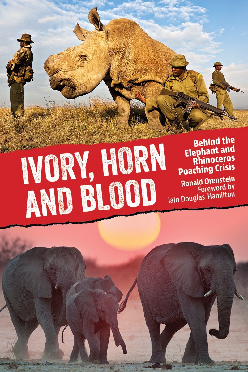 Ivory Horn And Blood Behind The Elephant And Rhinoceros - 
