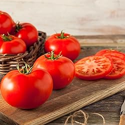 Tomato Seeds - Beefmaster - Packet - Vegetable