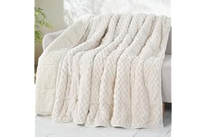 Drewin Weighted Blanket for Adults Queen Size 15lbs, Soft Cozy Turtleback Sherpa Weighted Blankets for Sleeping and Calming, Thick Bed Blanket for Couch Bed, 60 x 80 inches, Cream White