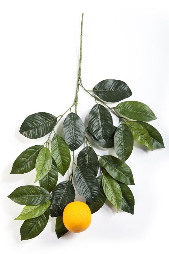 Getrocknete Orangenscheiben UOPJDD Deko-Orangen (10 Scheiben + 5 Stücke) – Ultrarealistische Obstmodelle Für Fotografie & Wohnaccessoires Orangenscheiben Plastik