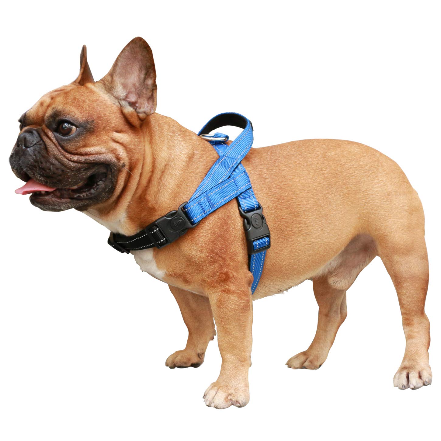 Buy iChoue Dog Harness Easy On and Off Adjustable Harness Lightweight Harness with Handle for