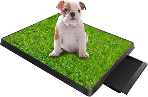 best portable dog potty