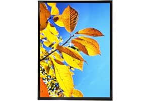 Aynoo 18x24 Poster Frame in Black, Thin Border Photo Frame,Display Posters 18x24 Picture Frames, Wall Mounting Collage Poster Frame,Black, 1Pack