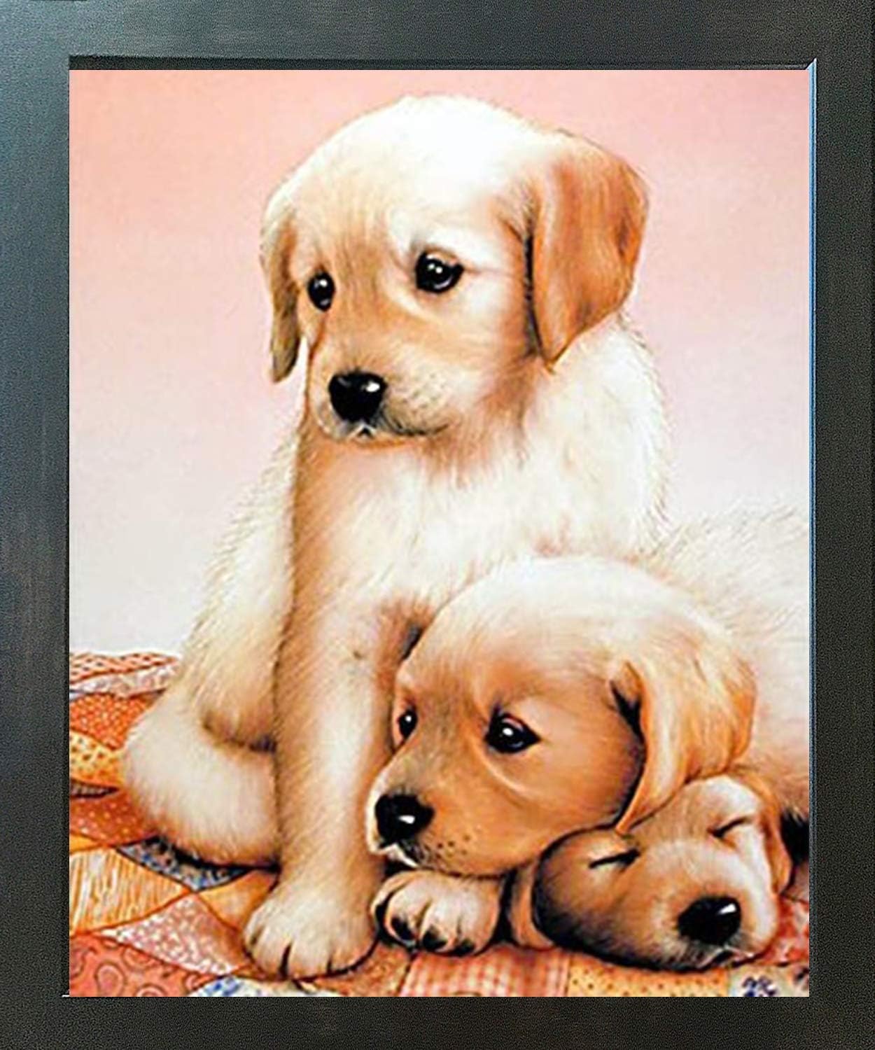 dog started sleeping in another room