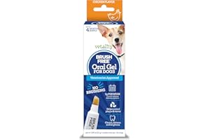 Vetality Brush Free Oral Gel for Dogs | Vet Formulated Dental Care with ProLong Technology | Cleans Teeth and Gums