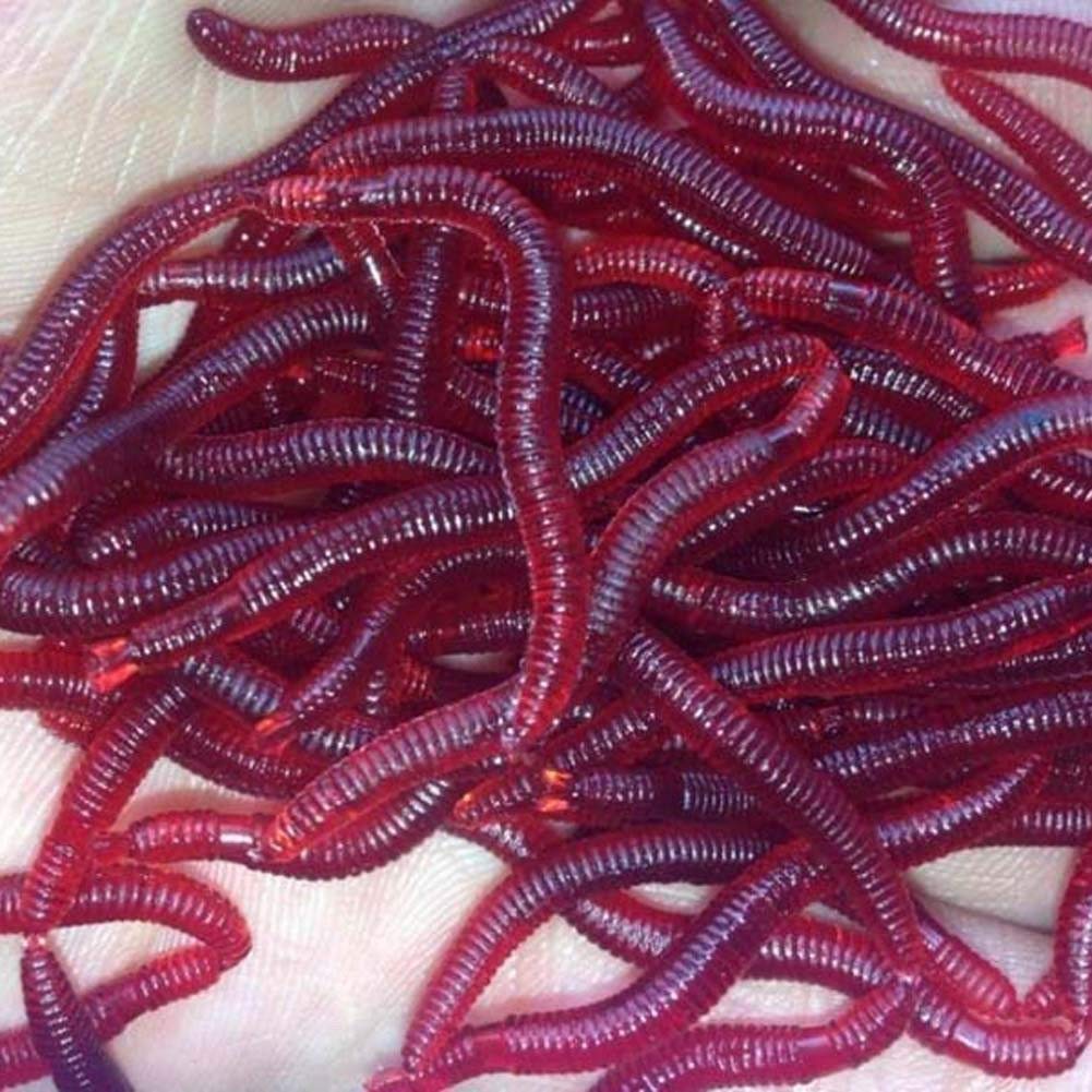 Red's bait and tackle Outlet
