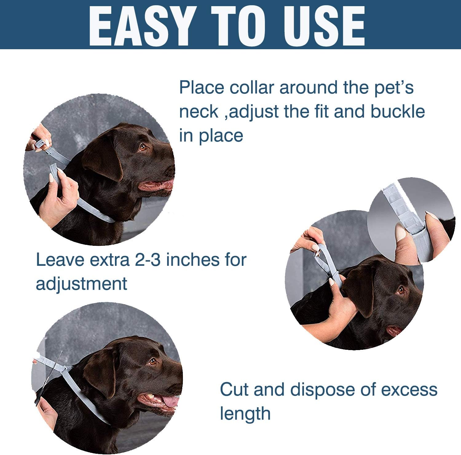 Flea and Tick Collar for Large Dog, Safe, Waterproof, Free Comb, Charity 2 Packs : Pet Supplies