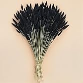 JOHOUSE 120PCS Black Bunny Tails Dried Flowers, 17inch Dried Pampas Grass Decor, Bunny Tails Handpicked Bunch, Boho Flowers Home Table Decor, Wedding Decorations for Home