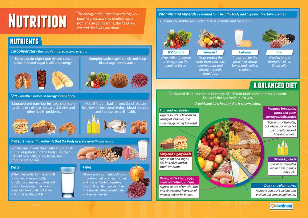 Daydream Education Nutrition | PSHE Posters | Laminated Gloss Paper measuring 850mm x 594mm (A1) | PSE Classroom Posters | Education Charts
