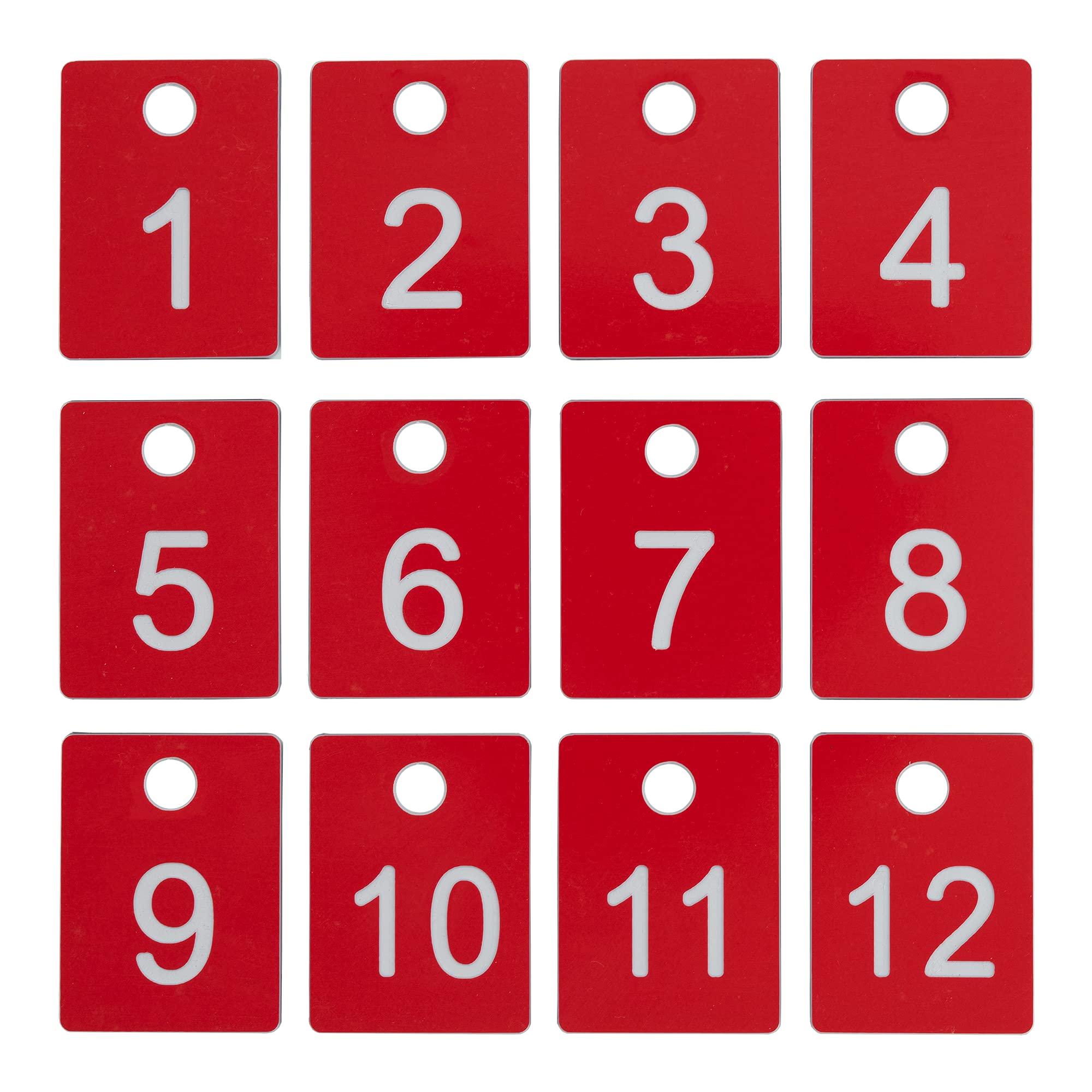 ABS Plastic Numbered Tags Rectangle Key ID Tags Number Disc with Hole (1-100, Red)