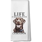 DOFQZ Labrador Retriever Gifts Kitchen Towels, Chocolate Lab Gifts Hand Towels for Bathroom, Life is Better with Labrador Decorative Tea Towels Dish Towels, 16x24 Inch