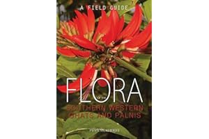 Flora of the Southern Western Ghats and Palnis: A Field Guide