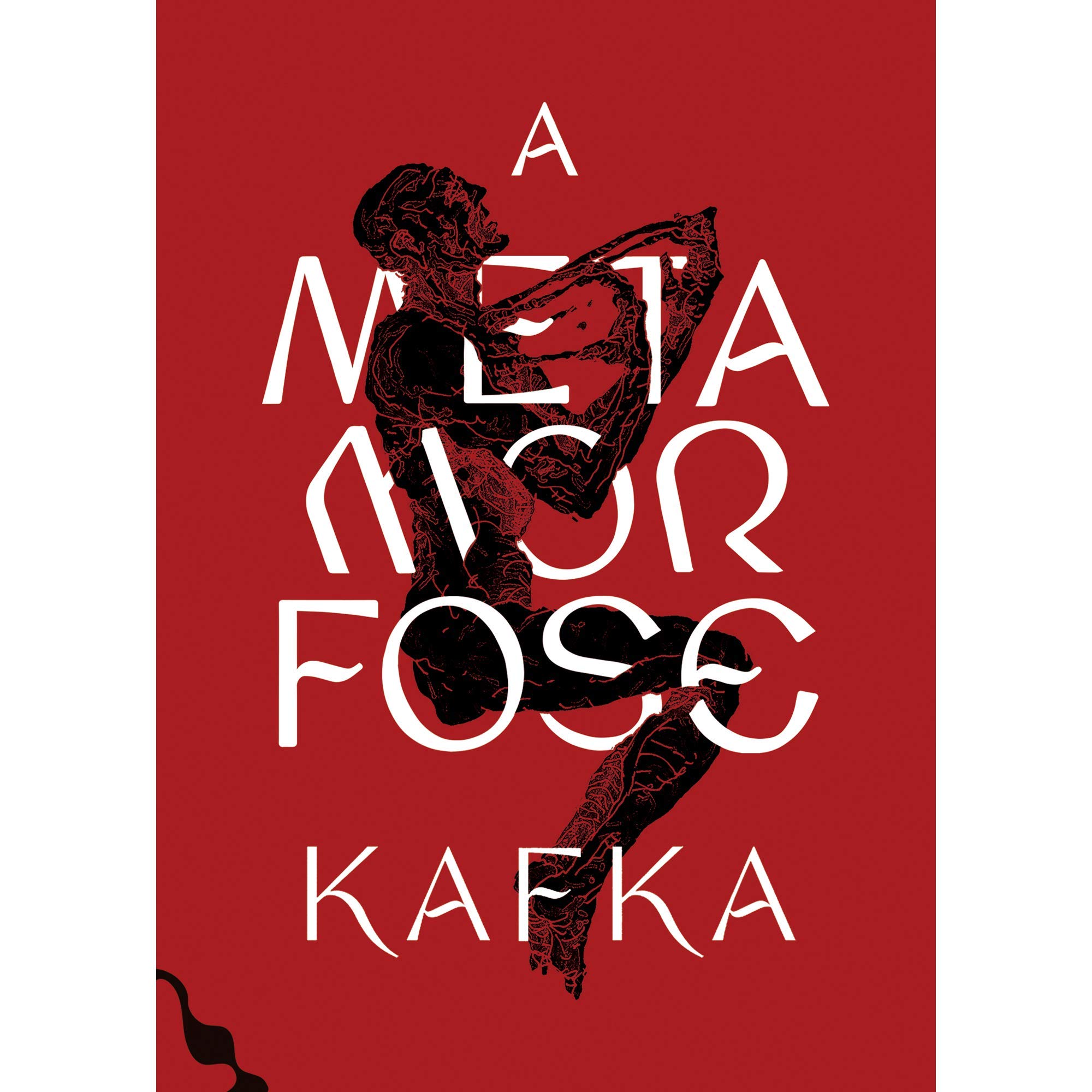 A Metamorfose - Edição Exclusiva Amazon PDF Franz Kafka