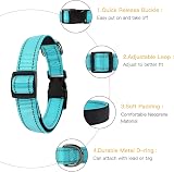 HEELE Reflective Dog Collar Nylon Padded Neoprene Sky Blue M 34-52cm view 3
