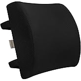 LOVEHOME Lumbar Pillow for Chair and Car, Back Support for Office, Memory Foam Cushion with Mesh Cover - Black