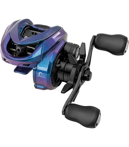 Amazon.com : Shimano Bait Reel 23 Calcutta Conquest BFS XG Right