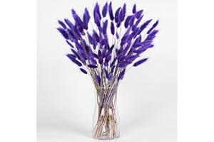 Purple Bunny Tails Dried Flowers Bulk, 110-120pcs Purple Rabbit Tails Dried Grass ,XMFAYUAN Small Pampas Grass Bouquet Natural Dried Plant for Home Decor and Gifting (16-17")