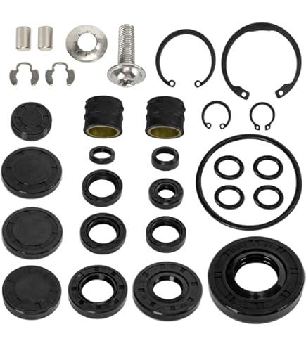 Amazon.com: Hydro-Gear 72994 Pump Seal Kit : Automotive