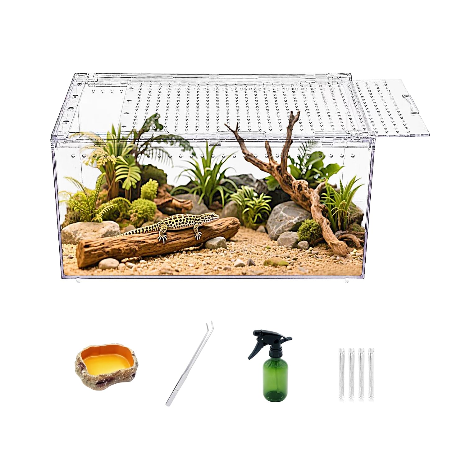 Reptile Growth Reptile PC Terrarium,Tarantula Enclosure,Spider Tank with Magnetic Button.12"x 8"x 6" Lizard Enclosure,Reptile Breeding Tank for Insect,Fish,Tarantula,Hermit Crab,Small Bearded Dragon