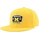 Michigan Wolverines NCAA Officially Licensed Hat Flat Snapback Z11 Switchback Secondary Color