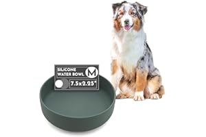 Should We Go? Dog Water Bowl - The Perfect Dish No-Spill Less Mess Non-Tippable Water & Food Bowl, Pure Silicone with Suction Cup Fits 5 Cups 7.5" Across x 2.25" Tall Ideal for All Pets, Medium-Spruce