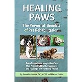 Healing Paws: The Powerful Benefits of Pet Rehabilitation