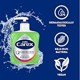 Carex 2 Hour Protection Antibacterial Aloe Hand Wash 6 x 250ml view 2