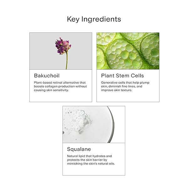 CLEARSTEM – HYDRAGLOW STEM CELL MOISTURIZER – BAKUCHIOL + SQUALENE – YOUTHFUL SKIN FACE MOISTURIZER – ALL SKIN TYPES – FACIAL SKIN CARE PRODUCTS – GLUTEN FREE, CRUELTY FREE – 2 FL OZ / 60ML