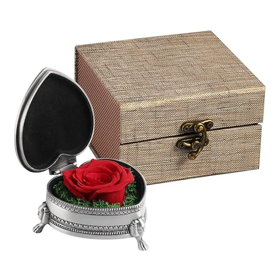 Unique Gift Ideas for Women, Preserved Flower Rose Handmade Eternity