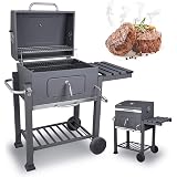 tepro Toronto - Barbacoa de carbón con regulador de altura: Amazon ...