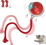 IOKHEIRA Interactive Electric Cat Toy Red Rechargeable Motion Animal Toy view 1