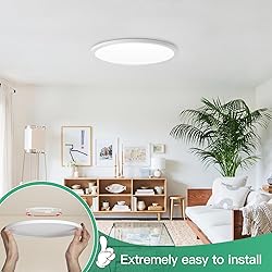 Brightever LED Flush Mount Ceiling Light, 24W