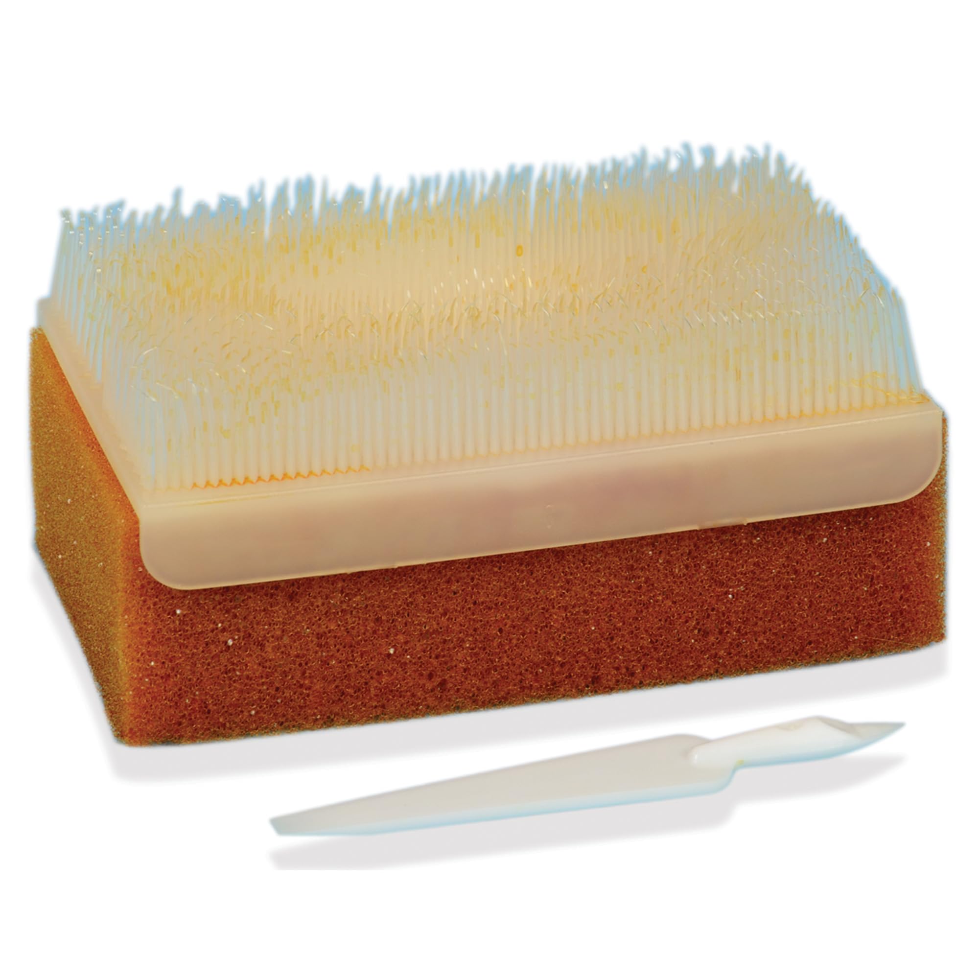 GIMA 36571 Pvp-Iodine Scrub Kit (Pack of 30)