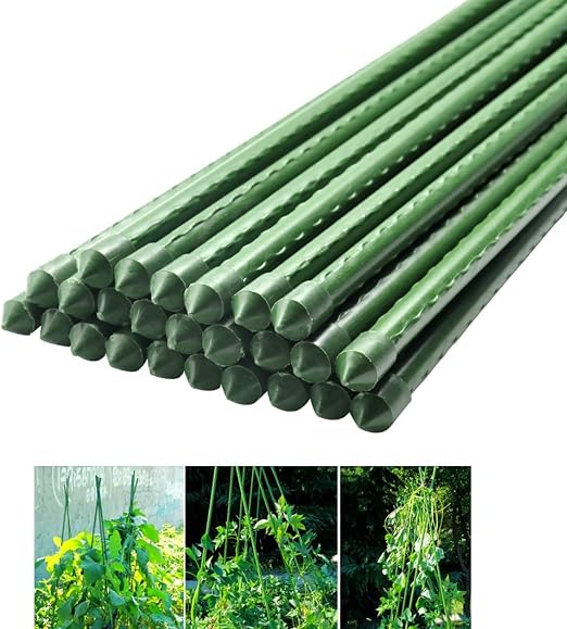 GUANGHEYUAN-J La Jaula de la Planta de Metal recubierta de ...