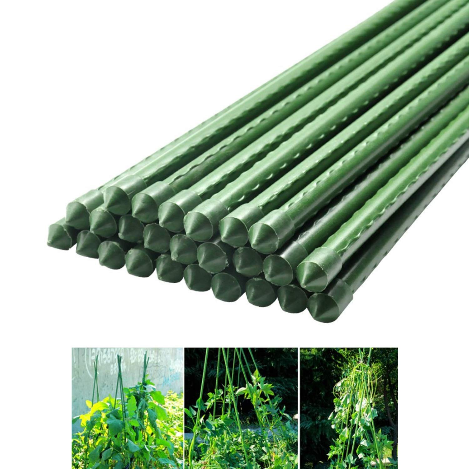 Shengjuanfeng La Jaula de la Planta de Metal recubierta de ...