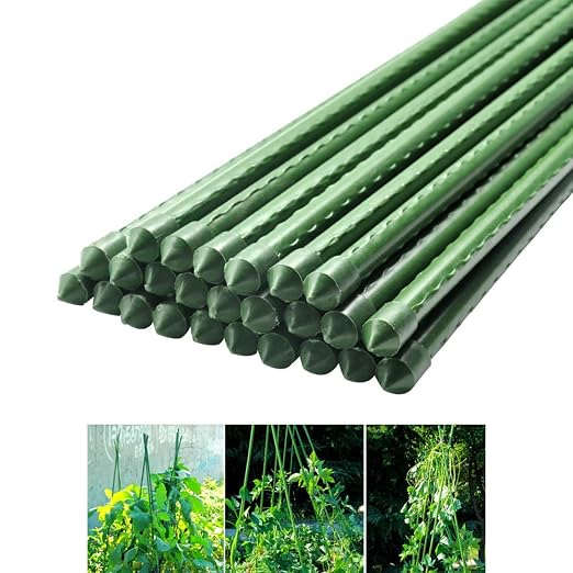 Shengjuanfeng La Jaula de la Planta de Metal recubierta de ...