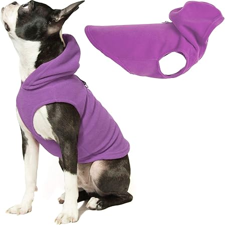 purple dog jacket