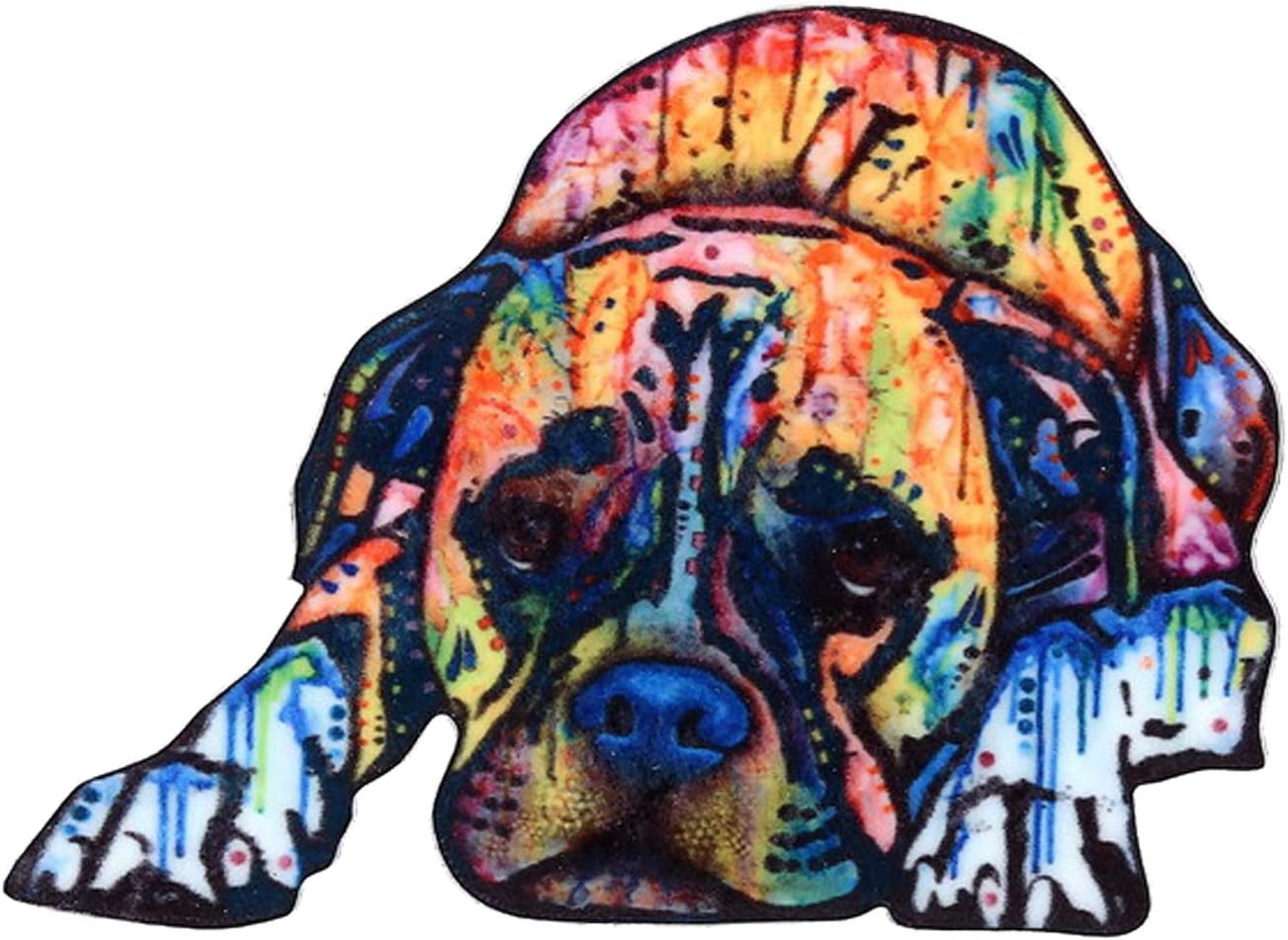 Connie Cloris Acrylic Printing Animal Skull Brooch Pin