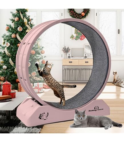 5-in-1 Cat Wheel,Cat Exercise Wheel,41.3" High Large Cat Wheels For Indoor Cats,Cat Treadmill,Cat Running Wheel For Indoor Cats With Silent Wheel,Cat Walking Hamster Wheel Cat Furniture Cat Toys