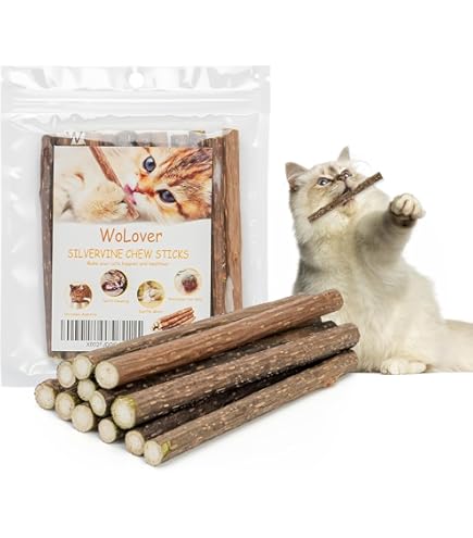 best dental chews for cats