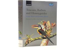 kindle best category lists