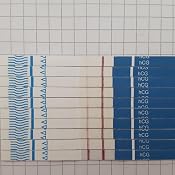 Schwangerschaftstest Hcg Fruhtest 10 Miu Ml 20 Teststreifen