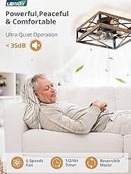 LEDIARY Caged Low Profile Ceiling Fans with Lights